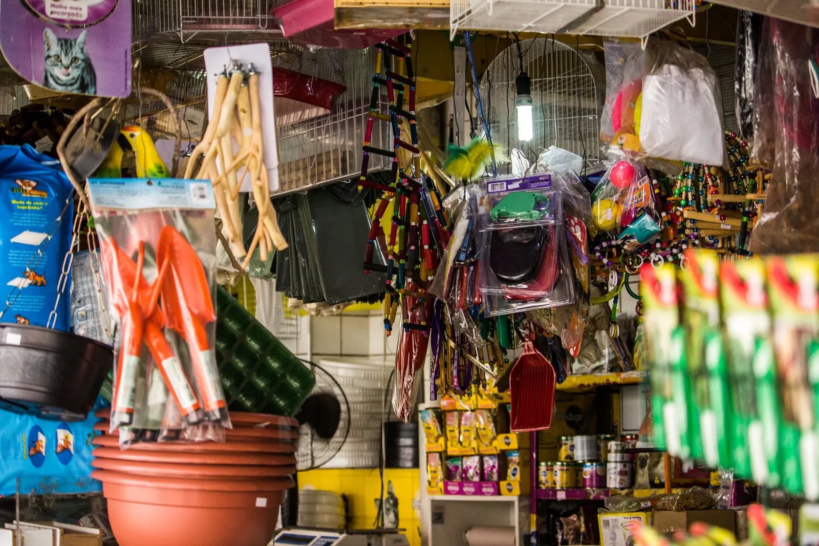 Intérieur d'une animalerie avec produits pour animaux