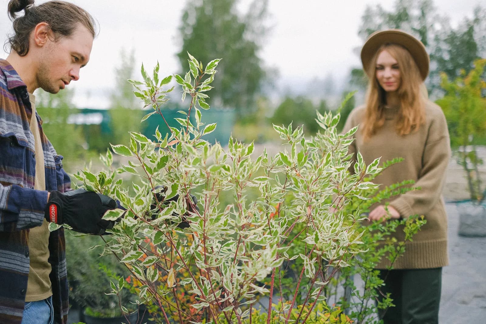Paysagiste au travail dans un jardin