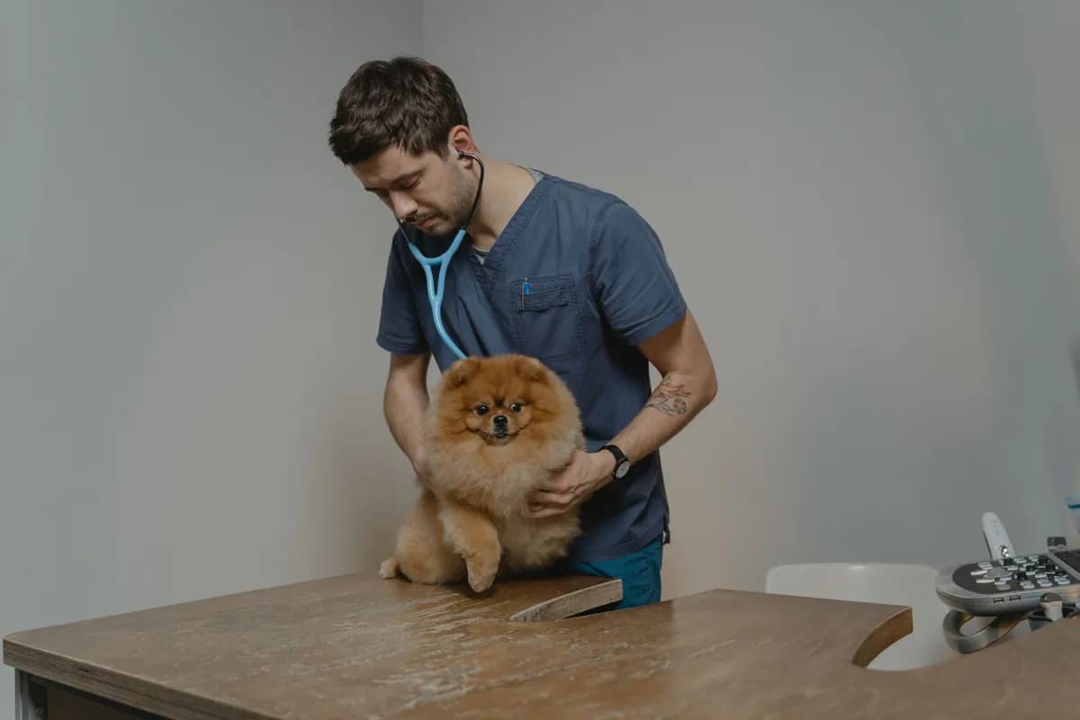 Clinique vétérinaire