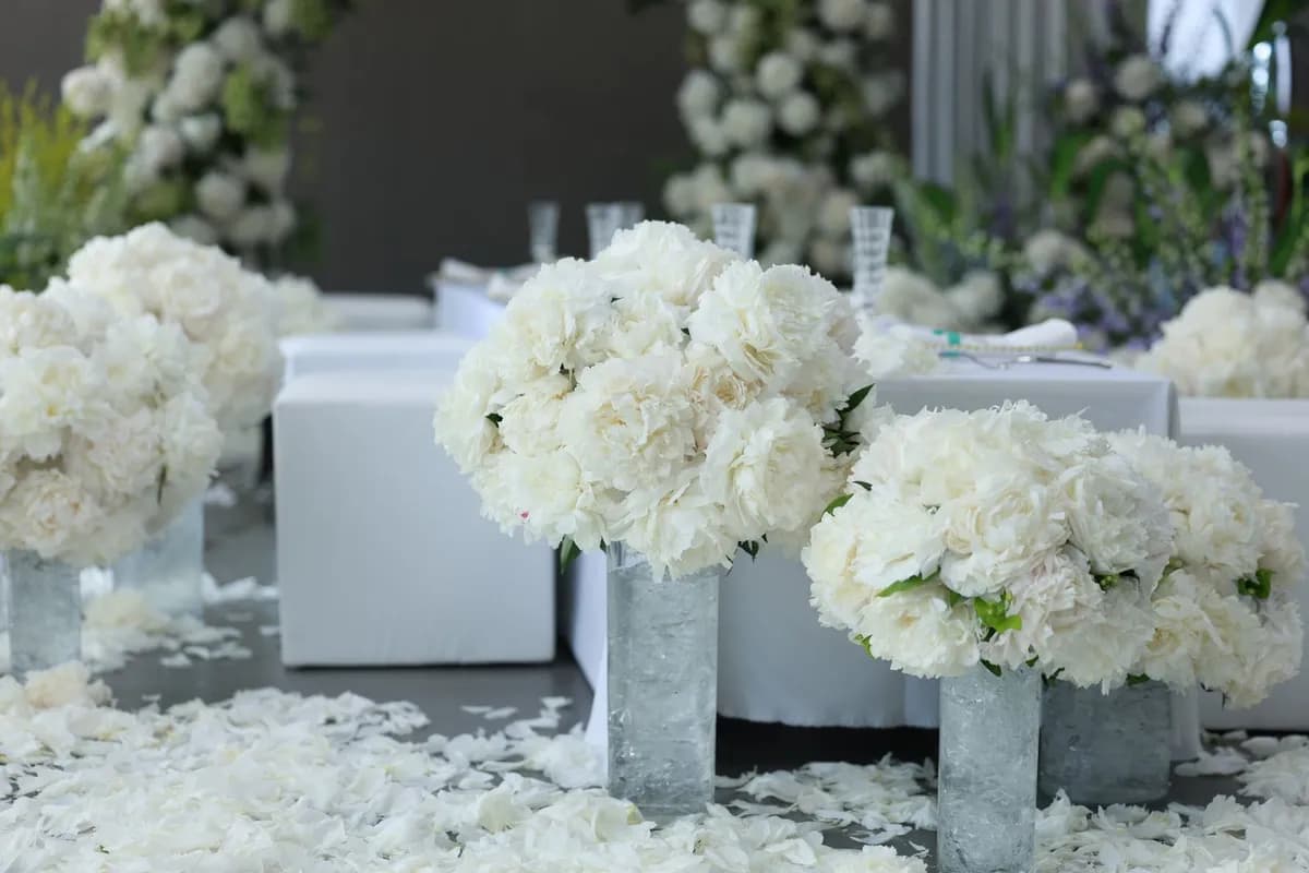 Wedding planners & organisateurs d'événement